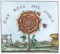 A tutti gli esseri senzienti