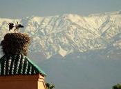 anno Marrakech…..