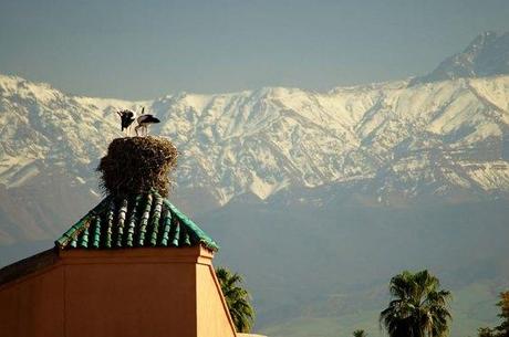 Un anno di Marrakech…..