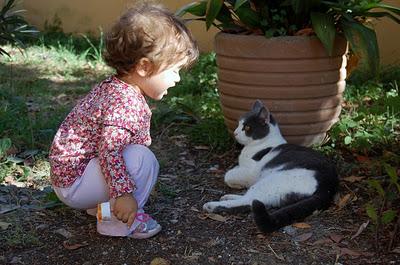 La piccola gattara (ovvero: come le fissazioni dei genitori possono plagiare una giovane mente)