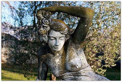 POESIE  IN  VETRINA  :  SIMO