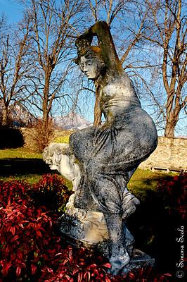 POESIE  IN  VETRINA  :  SIMO