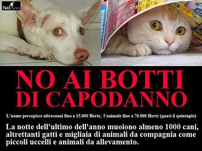 Difendiamo i nostri amici animali dai botti di Capodanno...e giorni a seguire