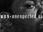 Raekwon Unexpected Victory (Mixtape)