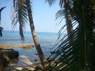 Geografia della Costa Rica caraibica: il mare e la foresta