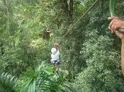 Canopy Tour/ Line