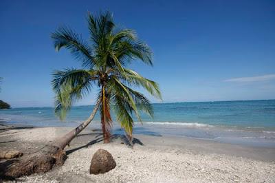 Parco Nazionale Cahuita