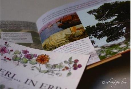 Alberi - Libereso Guglielmi, Pia Pera, Michele ferri. libri per le feste -1