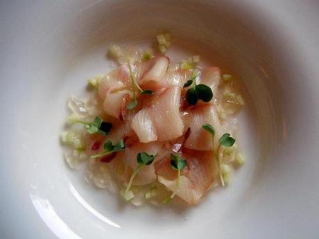 Crudo di Ricciola con mele, cipolla rossa di cannara, aceto di lamponi e panna acida