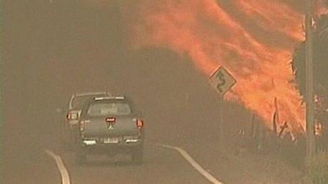 Cinquanta incendi boschivi devastano il Cile: un anziano bruciato vivo