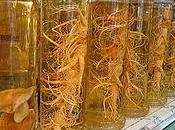 effetti ginseng