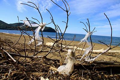 storie di sabbia e mare