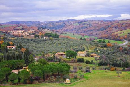 Magliano in Toscana