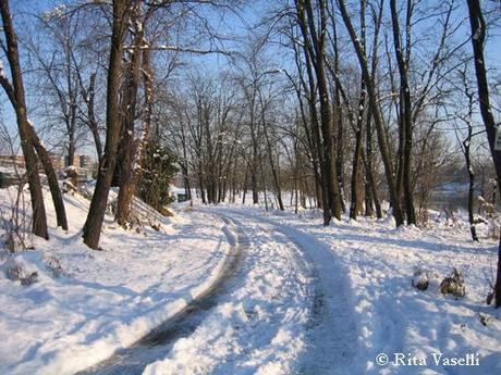 DUE PASSI A PAVIA... NELLA NEVE