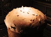 ANCORA PANEttone?