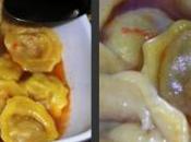 Cappelletti Brodo