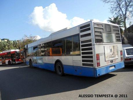 Mercato San Severino: ancora la CSTP in azione!