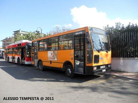 Mercato San Severino: ancora la CSTP in azione!