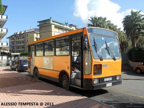 Mercato San Severino: ancora la CSTP in azione!