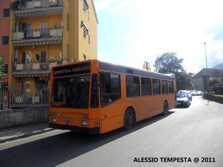 Mercato San Severino: ancora la CSTP in azione!