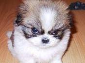 forte spinta motivazionale deciso “Perché”…