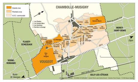 Le Super 1er Crus:Les Amoureuses Chambolle Musigny