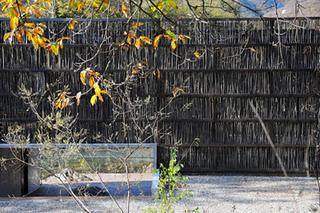 Biblioteca in Cina_ Li Xiaodong Atelier