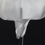 robert-mapplethorpe