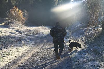 in cerca di tartufi