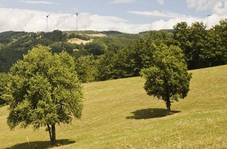 La costruzione dell’impianto eolico sul Passo di Santa Donna