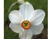 Sono “capricorno” sbagliata