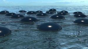 Marine Solar Cells: ibridazione delle energie rinnovabili