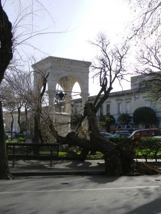 Oristano: sradicato olmo di Piazza Mariano IV. Il vento crea ingenti danni in Sardegna