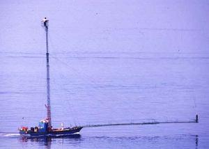 finchè la barca va lasciala andareeeeeeeee