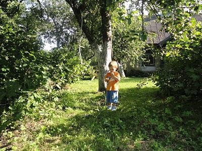 Una casa nella foresta