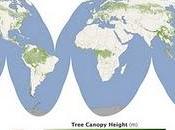 mappa globale delle foreste