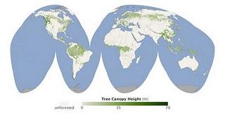 La mappa globale delle foreste