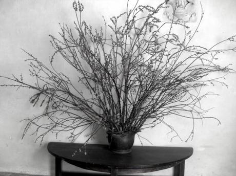 Diario di bordo...21 agosto.....la madonna bianca,lunapark,Fosdinovo...