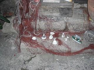 Diario di bordo...21 agosto.....la madonna bianca,lunapark,Fosdinovo...