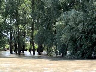 Sulina: verso la libertà