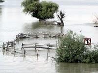 Sulina: verso la libertà