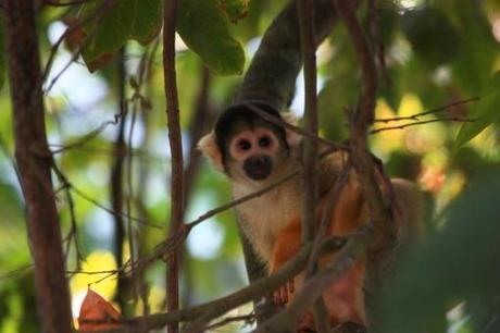 La Paz e l’amazzonia boliviana