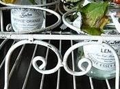 Physalis alkekengi_pianta delle “lanterne cinesi"