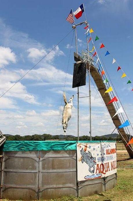 LA GENTE E' MATTA...E CRUDELE