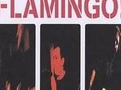 Flamingo! Rules (1983 2006)