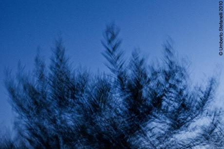 24_08_10_frattura_processo_spinoso_c7_555_pg