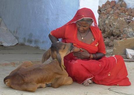 Bai si nutre al seno il suo piccolo animale domestico dentro la sua residenza nel villaggio di Kilchu