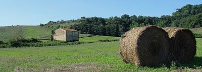 in 500 a Volterra. Da Montefoscoli a Volterra