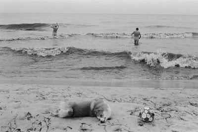 Visto da Marieke: spiagge del nord