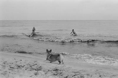 Visto da Marieke: spiagge del nord